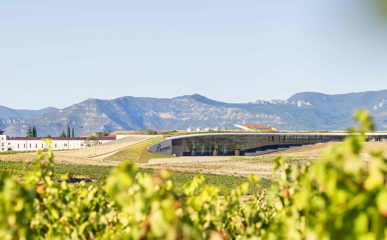 Viñedo de Bodegs Beronia