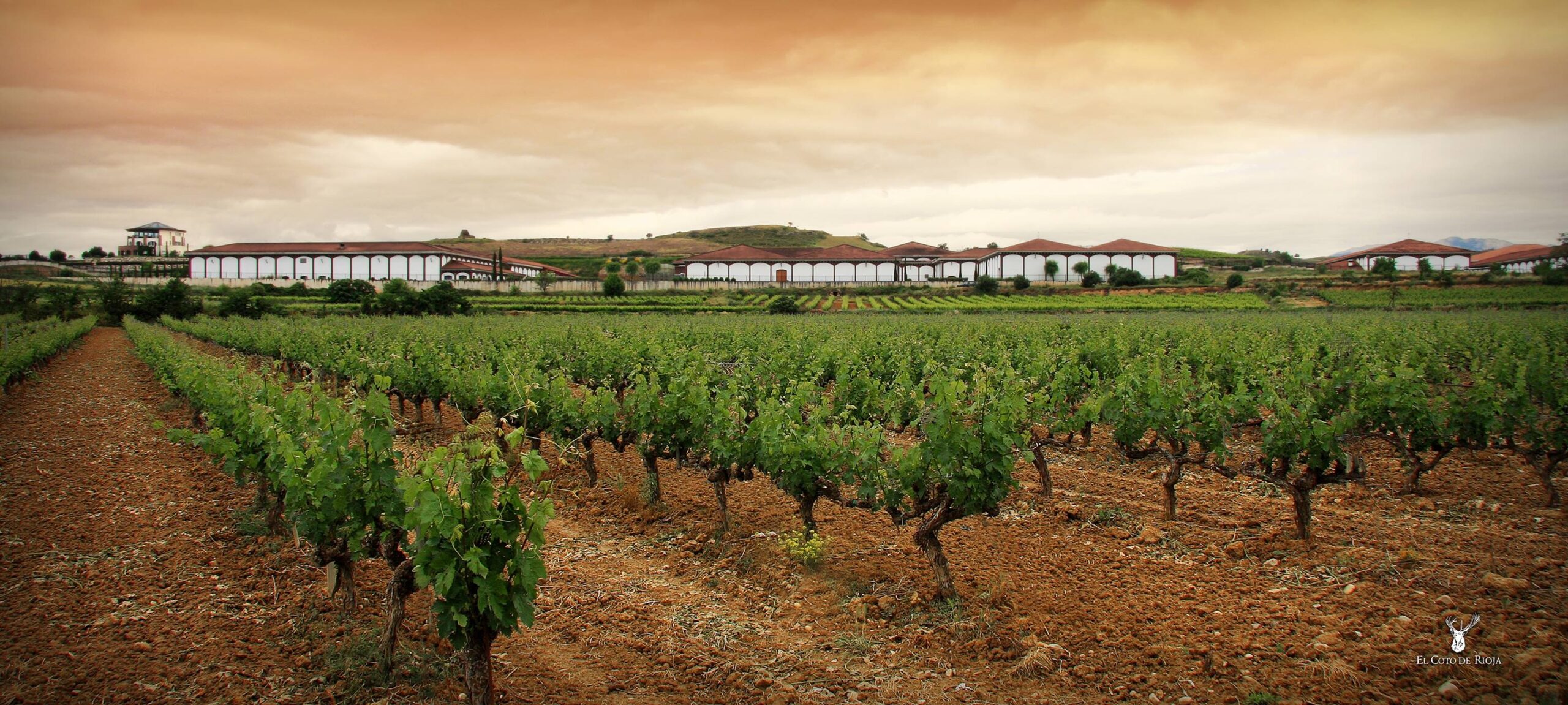 El Coto de Rioja