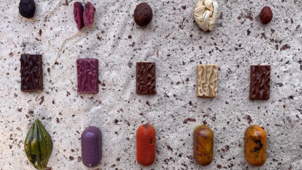 Renacer Chocolatier