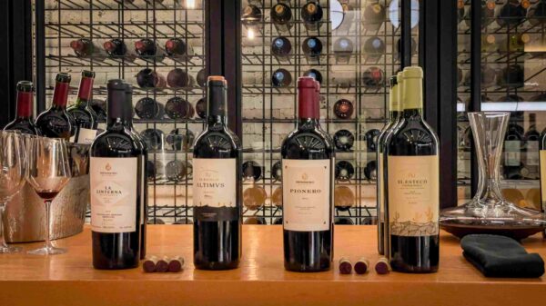 Vinos argentinos de altura