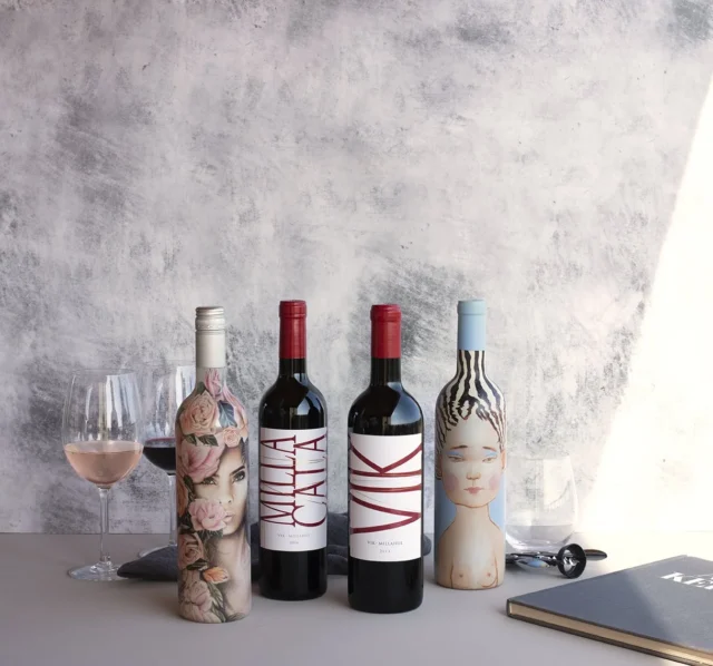 Vinos Viña Vik